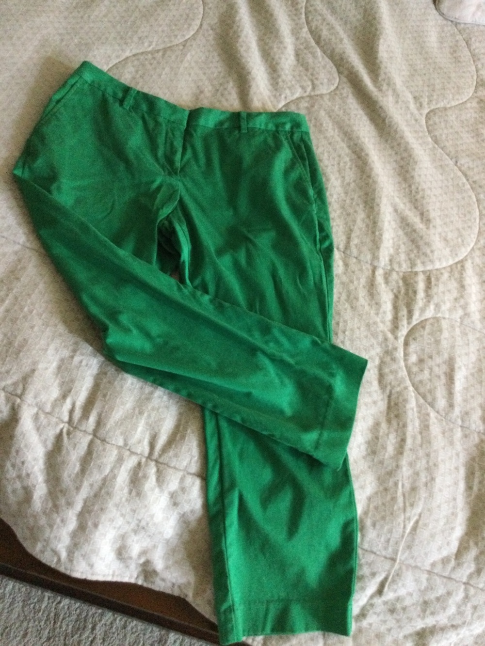 Lands End kelly green cotton spandex chino pants, excellent condition. Size 14